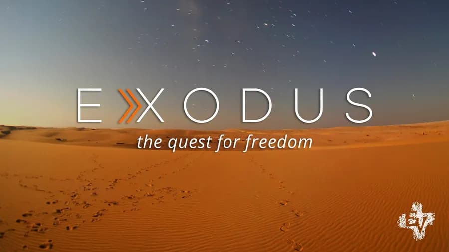 Exodus: the Quest for Freedom