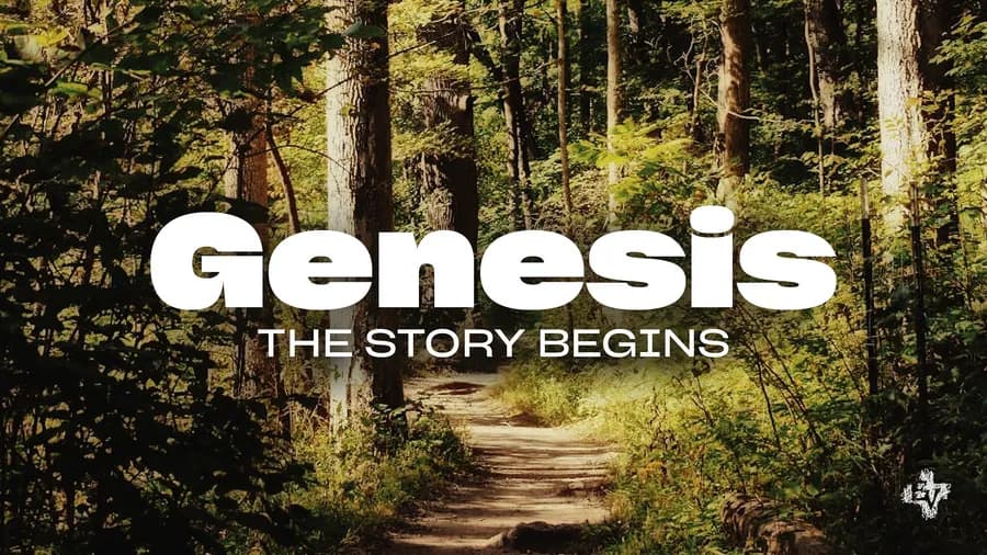 Genesis: The Story Begins