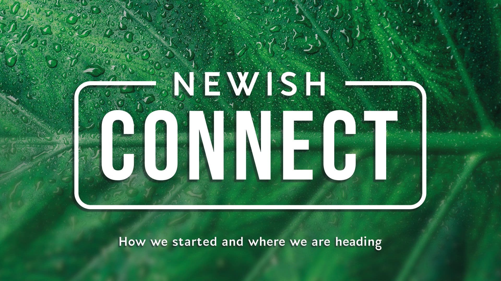 People connecting at Newish Connect event at Ev Church Auckland