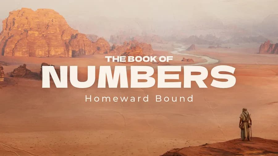 Numbers: Homeward Bound
