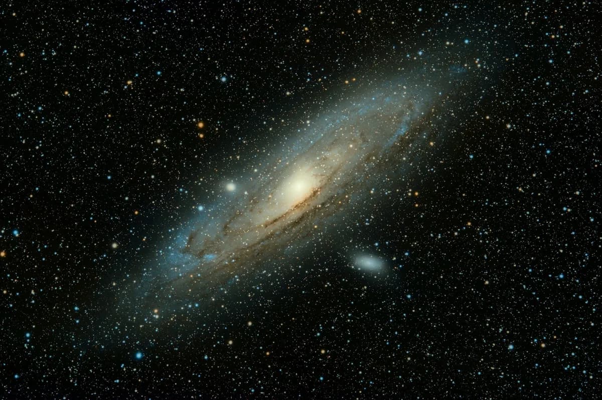 Person gazing up at the stars on a clear night