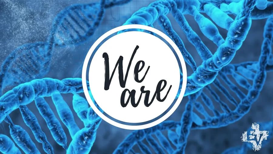We Are